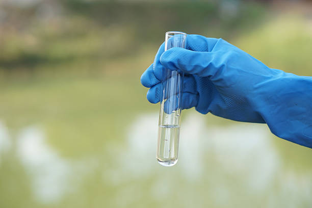 Yunnan Fluorine & Phosphorus Electronic Technology Co., Ltd.