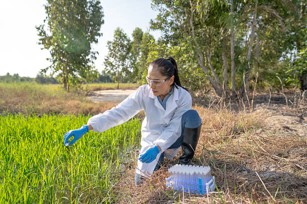 Yunnan Yuntianhua International Chemical Co., Ltd.